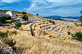 Monte Sant'Angelo, scendiamo a Mattinata attraverso pendii terrazzati.